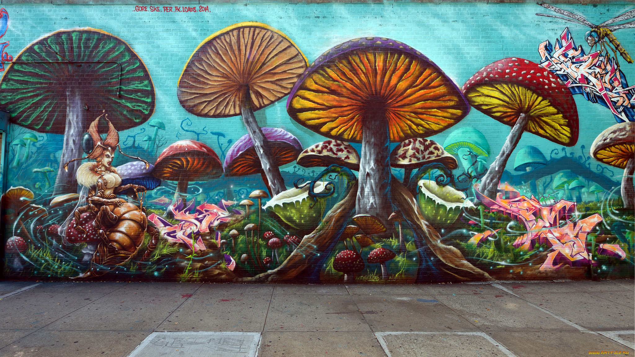 Граффити грибы